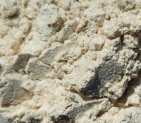 Parelsilver, parelmoer pigment