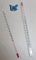 Thermometer -10 tot 100 graden C, 20 cm