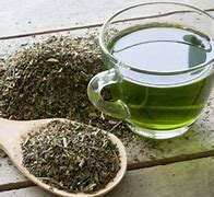 Groene thee extract 10 ml