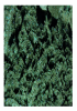 Groen, glanzend parelmoer pigment