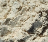 Parelsilver, parelmoer pigment